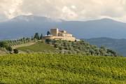 Castello di Velona Spa Resort & Winery